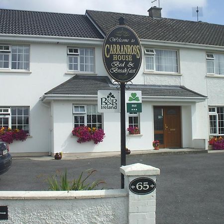 Carranross Accommodation Killarney Exterior foto